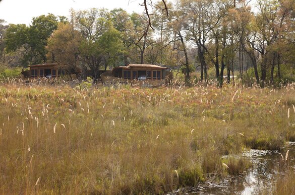 Sandibe Okavango Safari Lodge